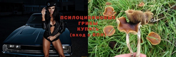 хмурый Белоозёрский