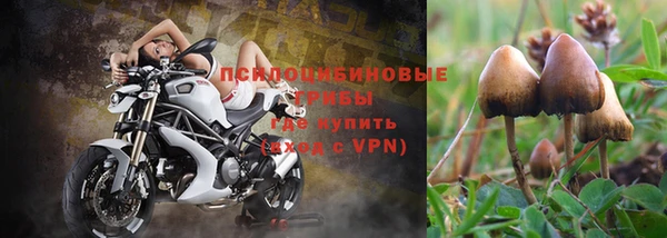 альфа пвп Белокуриха