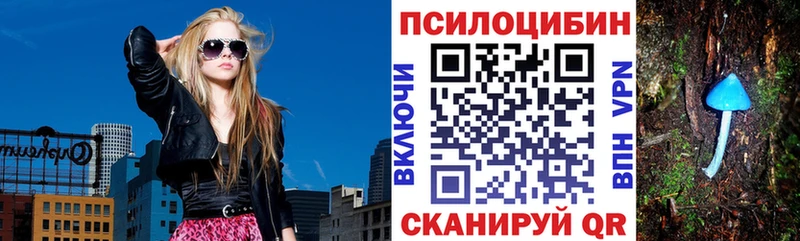 МЕГА ссылка  Волгореченск  Галлюциногенные грибы Magic Shrooms 